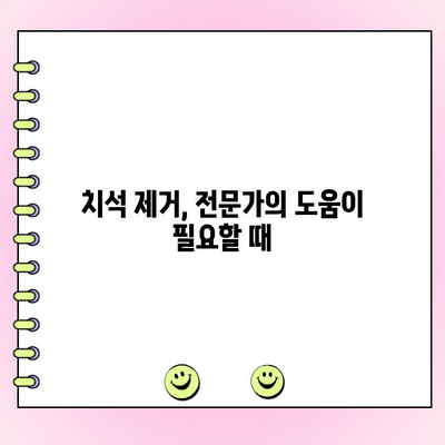 건강한 잇몸을 위한 치석 제거 꿀팁 5가지 | 치석 제거, 잇몸 건강, 치아 관리