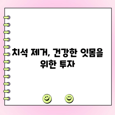 건강한 잇몸을 위한 치석 제거 꿀팁 5가지 | 치석 제거, 잇몸 건강, 치아 관리