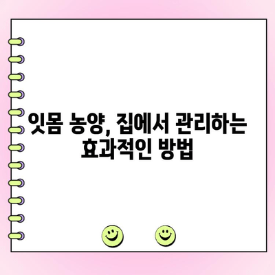 치주 농양, 자연 요법으로 완화하세요| 효과적인 치료 가이드 | 치주염, 잇몸 농양, 천연 치료, 홈케어