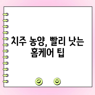 치주 농양, 자연 요법으로 완화하세요| 효과적인 치료 가이드 | 치주염, 잇몸 농양, 천연 치료, 홈케어