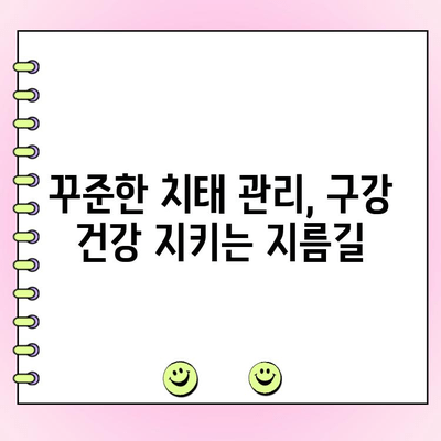 치태 제거의 놀라운 효과| 미소도 밝아지고 건강까지 지켜요! | 치태 제거, 치아 건강, 구강 관리, 미백, 잇몸 건강