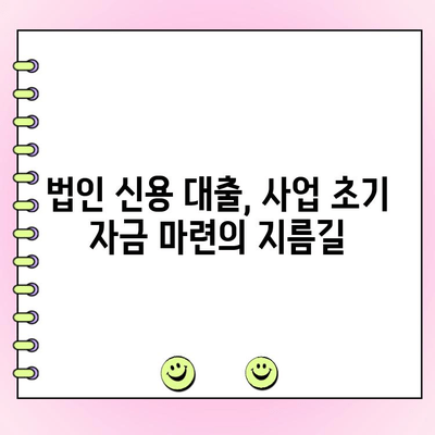 사업 초기 자금 마련, 법인 신용 대출로 해결하세요! | 법인 대출, 사업 자금, 초기 사업