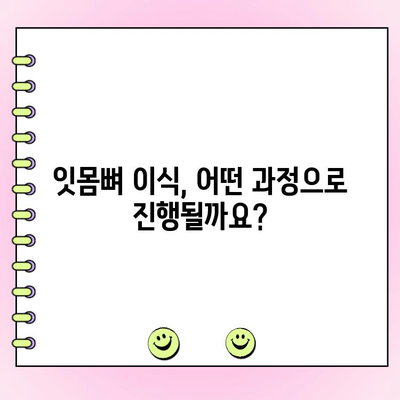 임플란트 성공의 열쇠, 잇몸 뼈 이식|  필요성, 과정, 주의사항 | 임플란트, 잇몸뼈 이식, 치과