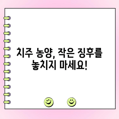 치주 농양, 조기 인지와 예방 노력 강화하기 | 치주염, 잇몸 붓기, 치과 치료, 관리 팁