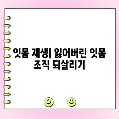 플랩 수술| 치과 의학의 발전과 개선 | 임플란트, 치주 수술, 잇몸 재생