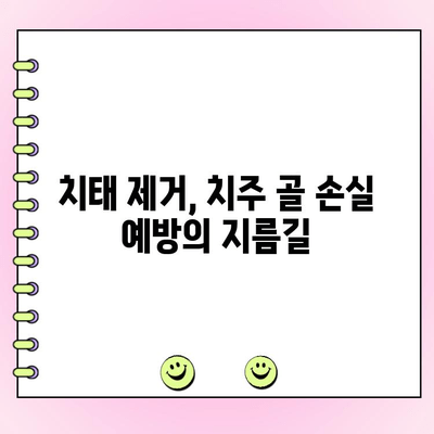 치주 골 손실의 주범, 치태? 위험한 듀오의 관계를 파헤쳐 보세요 | 치주염, 치아 건강, 구강 관리