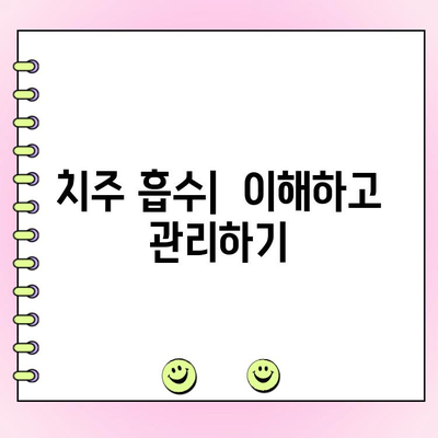 치주 흡수| 원인, 증상, 치료, 예방까지 완벽 가이드 | 치주병, 잇몸 퇴축, 치아 건강