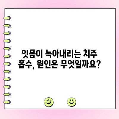 치주 흡수| 원인, 증상, 치료, 예방까지 완벽 가이드 | 치주병, 잇몸 퇴축, 치아 건강