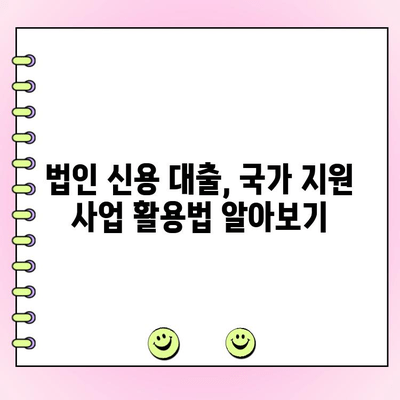 사업 초기 자금 조달, 법인 신용 대출 국가 지원 사업 활용 가이드 | 초기 사업, 법인 대출, 정부 지원