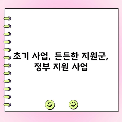 사업 초기 자금 조달, 법인 신용 대출 국가 지원 사업 활용 가이드 | 초기 사업, 법인 대출, 정부 지원