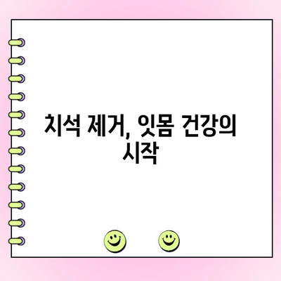 잇몸 건강 지키는 첫걸음, 치석 제거의 중요성 | 잇몸 질환 예방, 치주염, 치석 관리