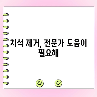 잇몸 건강 지키는 첫걸음, 치석 제거의 중요성 | 잇몸 질환 예방, 치주염, 치석 관리