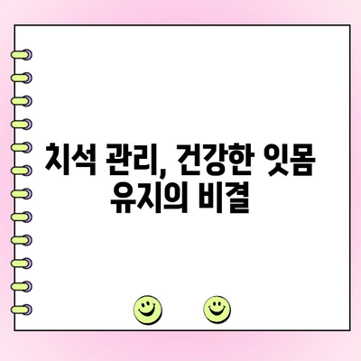 잇몸 건강 지키는 첫걸음, 치석 제거의 중요성 | 잇몸 질환 예방, 치주염, 치석 관리