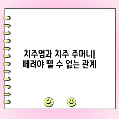 치주 주머니가 구강 건강에 미치는 영향| 심각성과 예방법 | 치주염, 잇몸 건강, 구강 관리