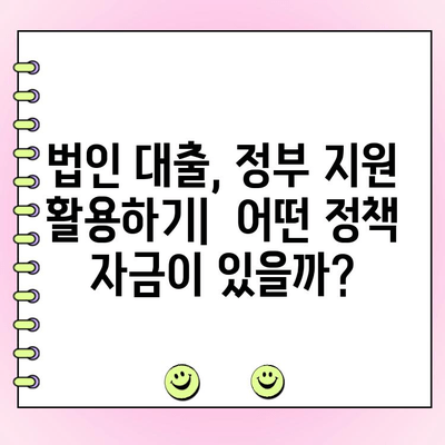 법인 대출, 정부 정책 자금 꼼꼼히 알아보기 | 법인 자금 조달, 정부 지원, 금융 정보