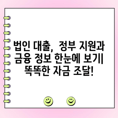 법인 대출, 정부 정책 자금 꼼꼼히 알아보기 | 법인 자금 조달, 정부 지원, 금융 정보