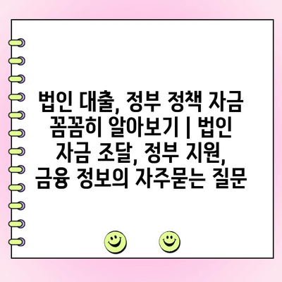 법인 대출, 정부 정책 자금 꼼꼼히 알아보기 | 법인 자금 조달, 정부 지원, 금융 정보