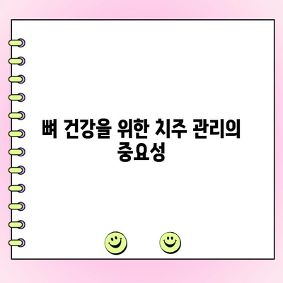 치주 과다 성장과 골다공증| 연관성과 주의 사항 | 치주 질환, 뼈 건강, 건강 관리