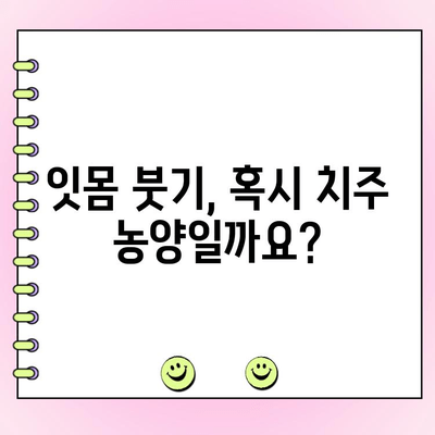 치주 농양| 잇몸 문제의 심각성과 해결책 | 치주염, 잇몸 붓기, 치료, 예방