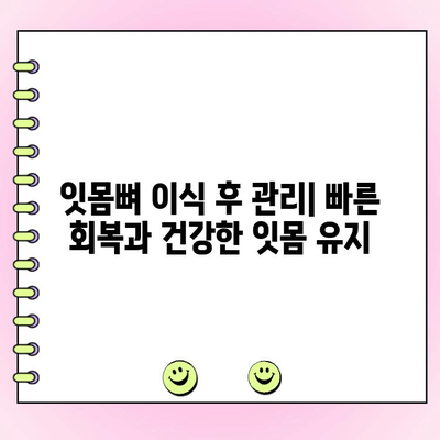 잇몸 뼈 이식| 건강한 잇몸 회복을 위한 완벽 가이드 | 잇몸 재생, 치주 질환, 임플란트