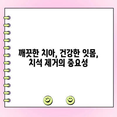 치석 제거로 잇몸 건강 되찾기| 5가지 방법과 주의사항 | 치석 제거, 잇몸 건강, 치주 질환 예방