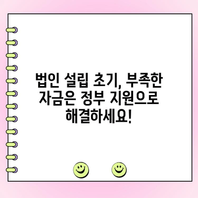 사업 초기 자금 마련, 법인 신용 대출 국가 지원 사업 활용 가이드 | 법인 대출, 초기 사업 자금, 정부 지원 사업, 신용 대출