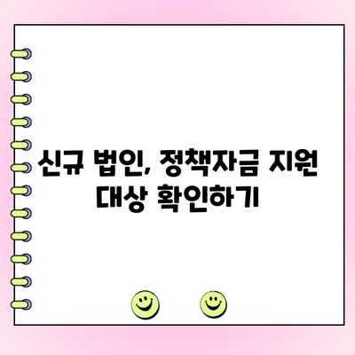 신규 법인, 정책자금 현명하게 받는 방법| 대출 성공 전략 & 필수 체크리스트 | 법인 대출, 정책자금, 성공 전략, 체크리스트