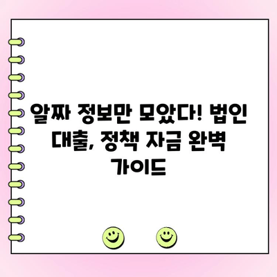 신규 법인 대출 정책 자금, 현명하게 받는 방법| 성공적인 사업 확장을 위한 완벽 가이드 | 법인 대출, 사업 자금, 금융 지원, 정책 자금