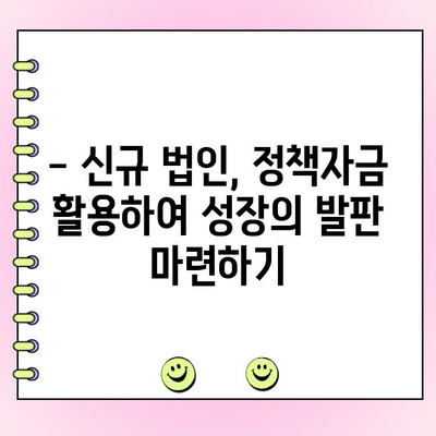 신규 법인 대출, 국가정책자금 지원으로 성공적인 사업 시작하기 | 법인 대출, 정책자금, 신규 사업, 창업 지원