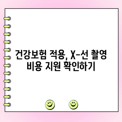 치과 X-선 촬영 비용 완벽 가이드 | 지역별 비용, 촬영 종류, 주의 사항
