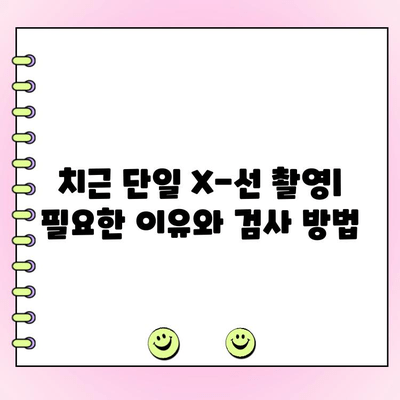 치근 단일 X-선 촬영, 비용과 장점 알아보기 | 치과, 치료, 검사, 가격