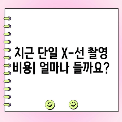 치근 단일 X-선 촬영, 비용과 장점 알아보기 | 치과, 치료, 검사, 가격