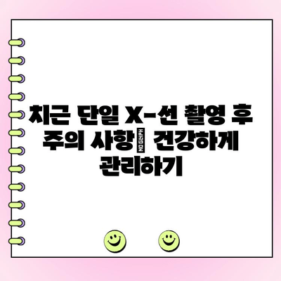 치근 단일 X-선 촬영, 비용과 장점 알아보기 | 치과, 치료, 검사, 가격