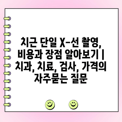 치근 단일 X-선 촬영, 비용과 장점 알아보기 | 치과, 치료, 검사, 가격