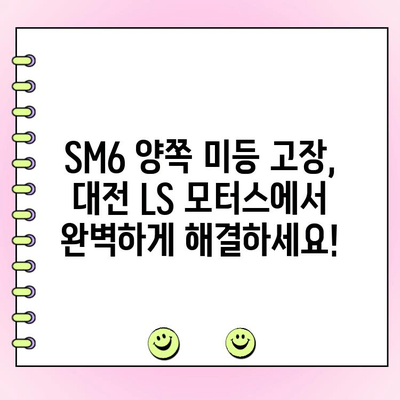 SM6 양쪽 미등 고장 수리| 대전 LS 모터스의 전문적인 지원 | 자동차 정비, 렌터카, 보험