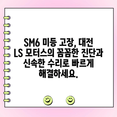 SM6 양쪽 미등 고장 수리| 대전 LS 모터스의 전문적인 지원 | 자동차 정비, 렌터카, 보험