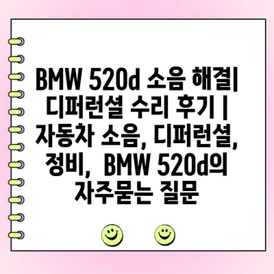 BMW 520d 소음 해결| 디퍼런셜 수리 후기 | 자동차 소음, 디퍼런셜, 정비,  BMW 520d