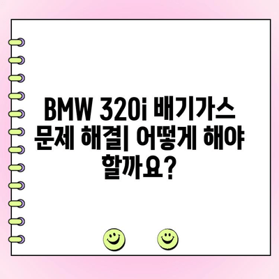 BMW 320i 배기가스 경고등 점등, 원인과 해결 방법 | 수리 비용, 주의 사항, 전문가 조언