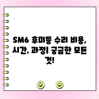 LS 모터스 대전점 SM6 후미등 수리| 비용, 시간, 과정 | 자동차 정비, 후미등 교체, 견적