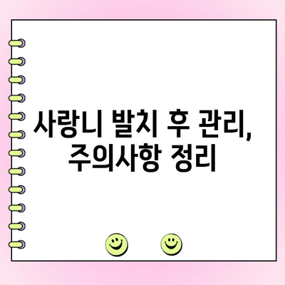 백석동 치과 사랑니 발치 비용 안내| 종류별 비용 비교 & 정보 | 사랑니, 발치, 비용, 가격, 백석동, 치과