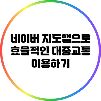 네이버 지도앱으로 효율적인 대중교통 이용하기
