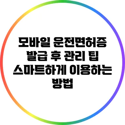 모바일 운전면허증 발급 후 관리 팁: 스마트하게 이용하는 방법
