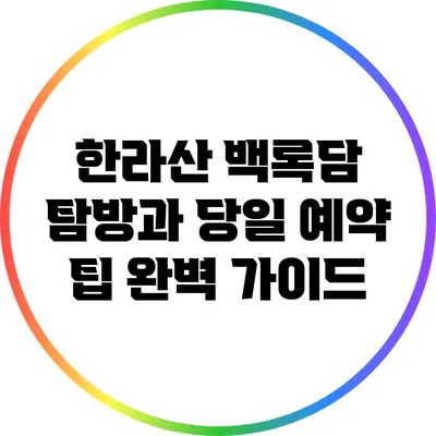 한라산 백록담 탐방과 당일 예약 팁 완벽 가이드