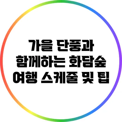 가을 단풍과 함께하는 화담숲 여행 스케줄 및 팁