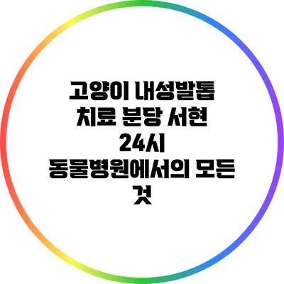 고양이 내성발톱 치료: 분당 서현 24시 동물병원에서의 모든 것