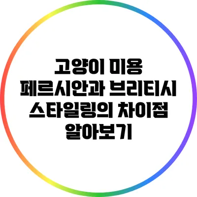 고양이 미용: 페르시안과 브리티시 스타일링의 차이점 알아보기