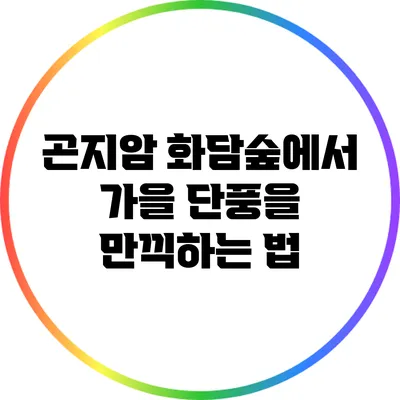 곤지암 화담숲에서 가을 단풍을 만끽하는 법