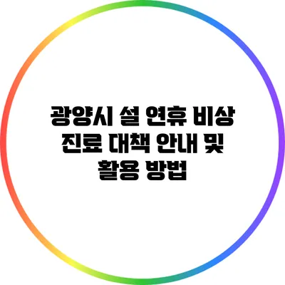 광양시 설 연휴 비상 진료 대책 안내 및 활용 방법