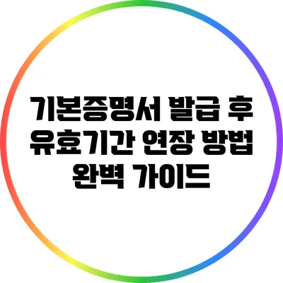 기본증명서 발급 후 유효기간 연장 방법 완벽 가이드