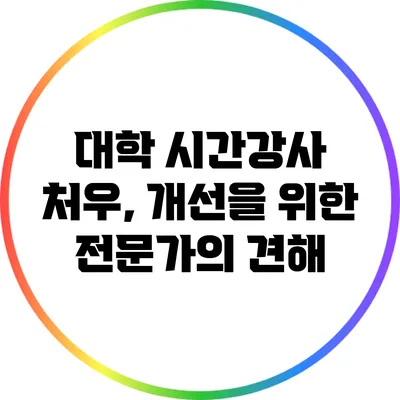 대학 시간강사 처우, 개선을 위한 전문가의 견해